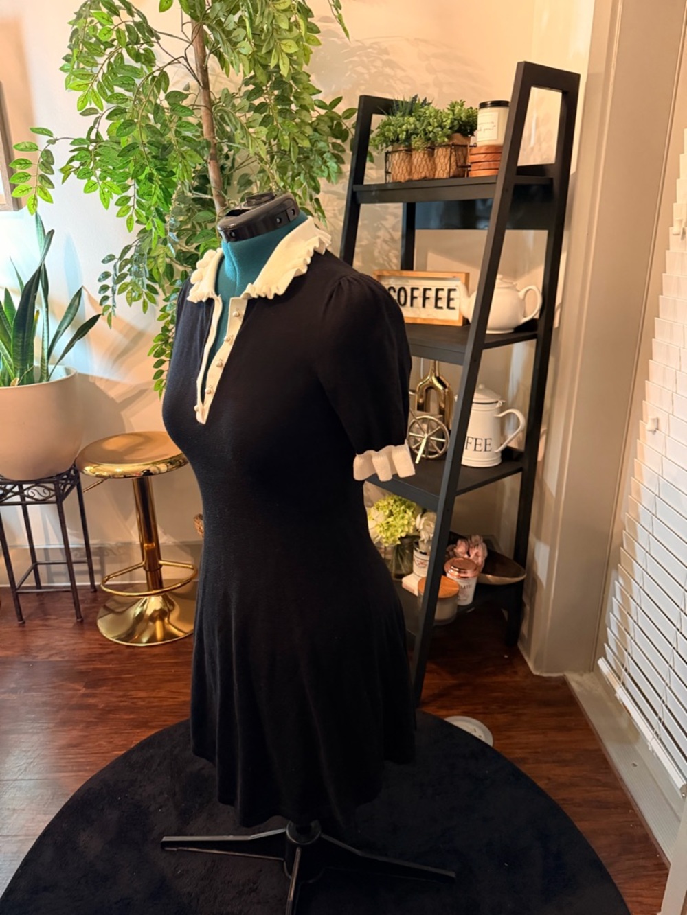 CeCe Black Mini Dress with Cream Ruffled Collar
